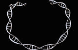 Necklace Choker DNA, science jewelry, genetics gift, double helix choker, statement, retirement present, work anniversary