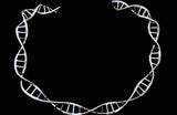 Sterling Silver DNA Choker: Science Jewelry Gift