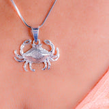 Anchor pendant with octopus,  sterling silver necklace, 8 legs no cares