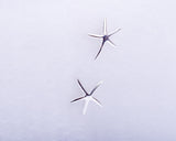 Silver Starfish earrings, gift for girlfriend,  ocean inspired jewelry, , infinite, Divine love, rebirth
