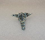 Silver Caduceus Pin: Medical Symbol Jewelry for Doctors