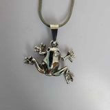 Silver frog necklace, gift for transformation