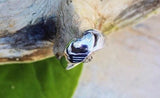 Silver promise ring, promise you my heart, Claddagh without the crown