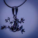 Silver frog necklace, gift for transformation