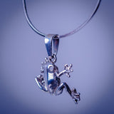 Silver frog necklace, gift for transformation