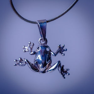 Silver frog necklace, gift for transformation