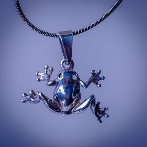 Silver frog necklace, gift for transformation