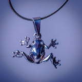 Silver frog necklace, gift for transformation